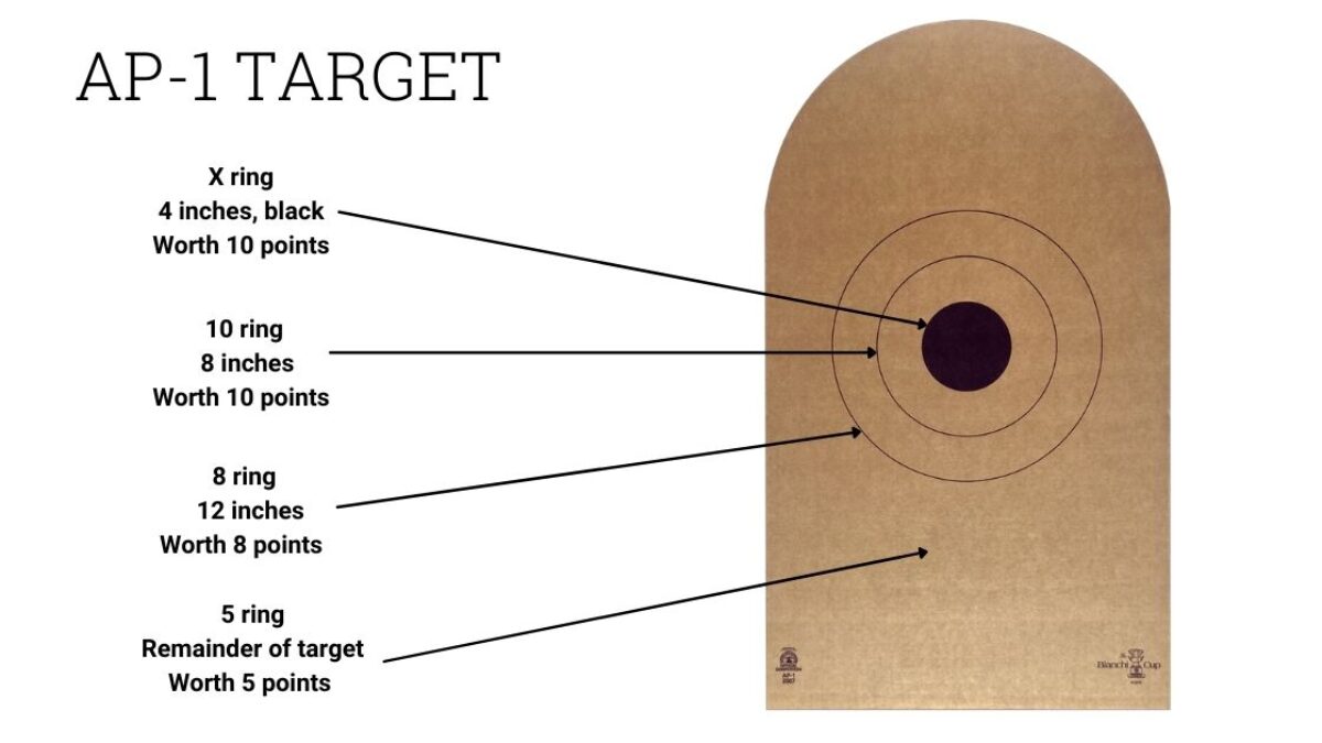 bulletinX AP-1 Target